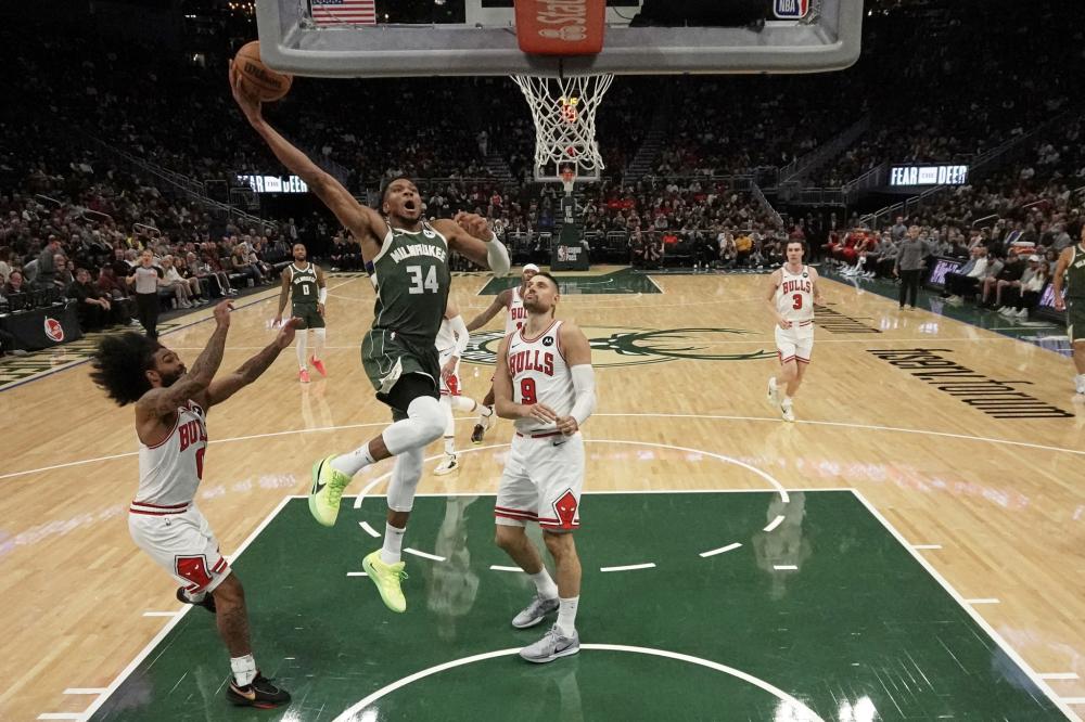 证明了自己 证明了自己